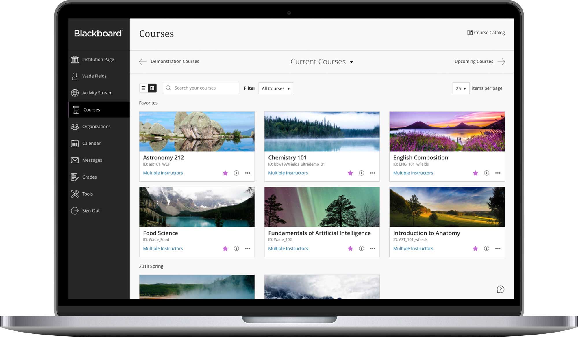 Blackboard course view interface